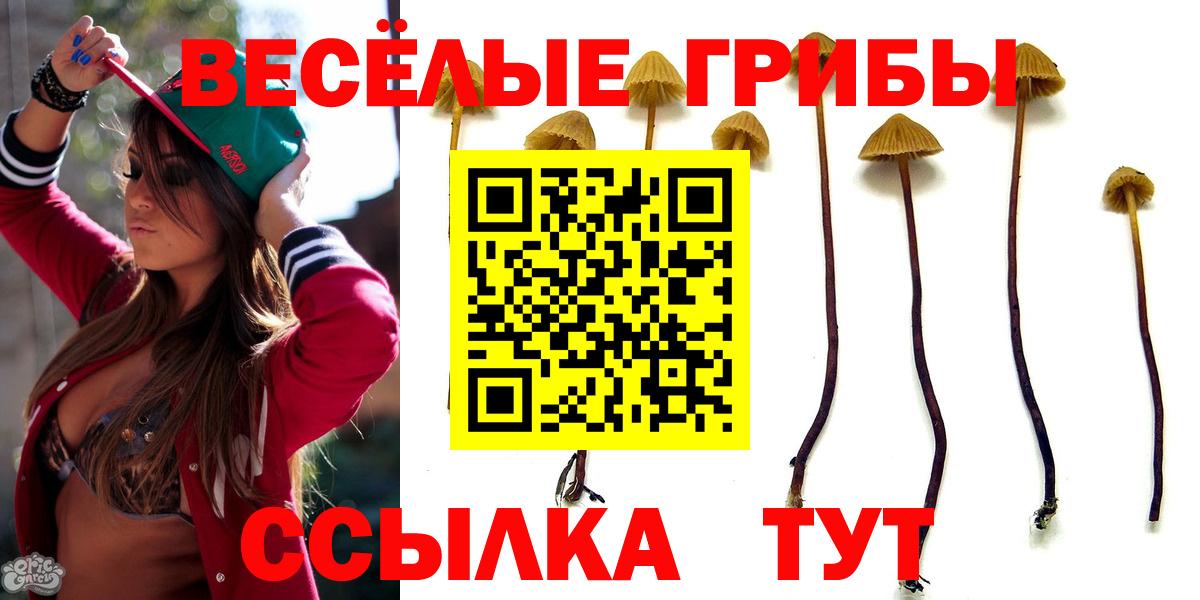 Псилоцибиновые грибы мухоморы Юрга