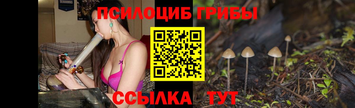 Псилоцибиновые грибы Cubensis  Вход с VPN  Юрга 